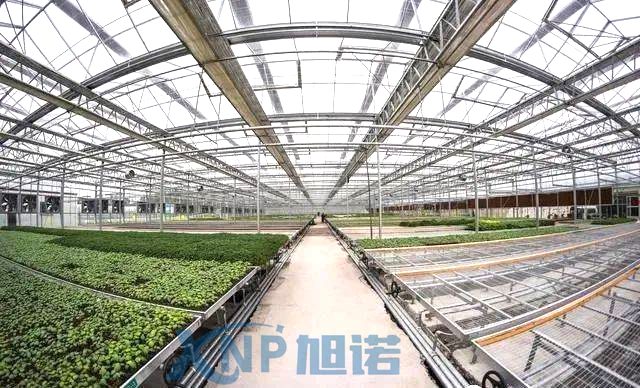 蔬菜温室大棚可以使用小蝌蚪.WWW做骨架吗.jpg